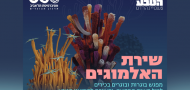 תערוכת שירת האלמוגים - ראש השנה תשפ"ו