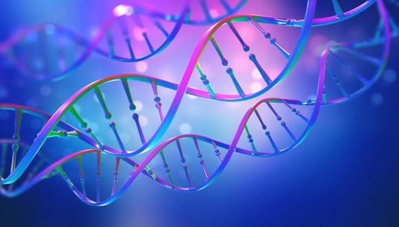 בוגרי הפקולטה לרפואה חשפו מנגנון חדש לבקרת ביטוי גנים